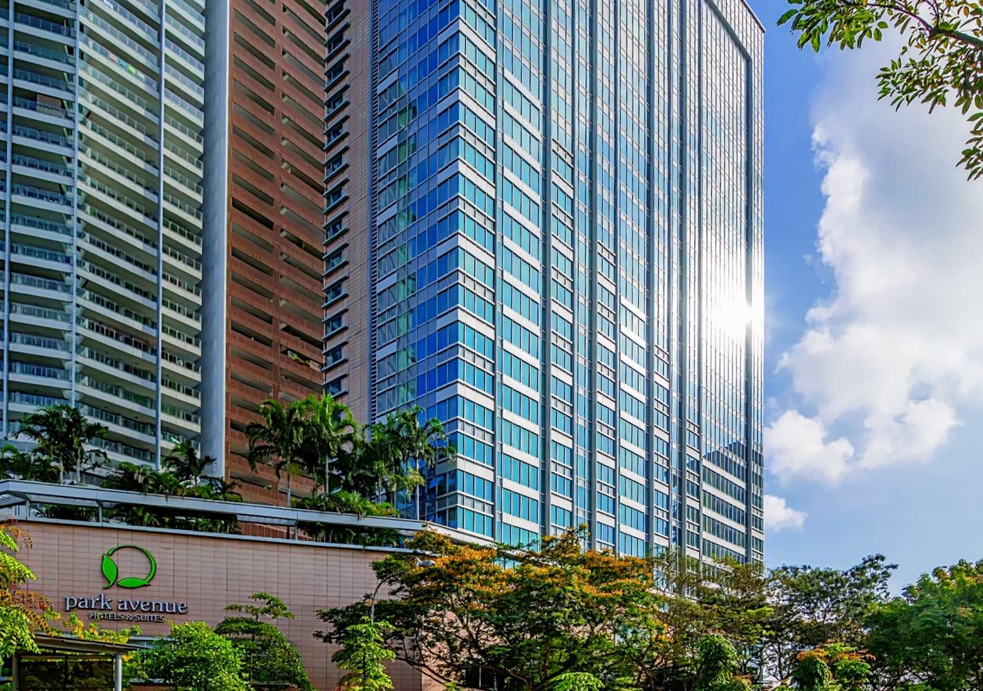 Park Avenue Rochester