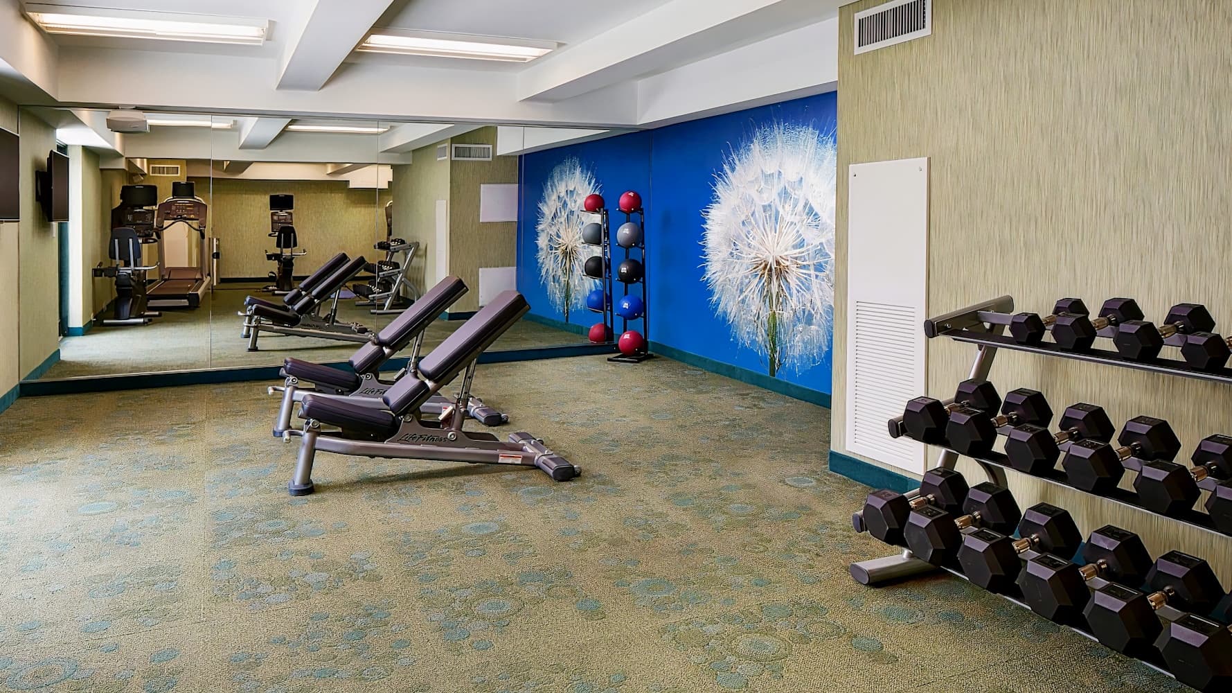 Springhill Suites Houston Downtown Convention Center