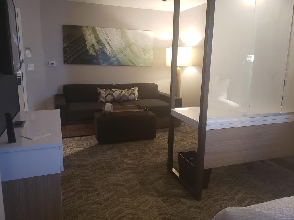 SpringHill Suites by Marriott Detroit Wixom