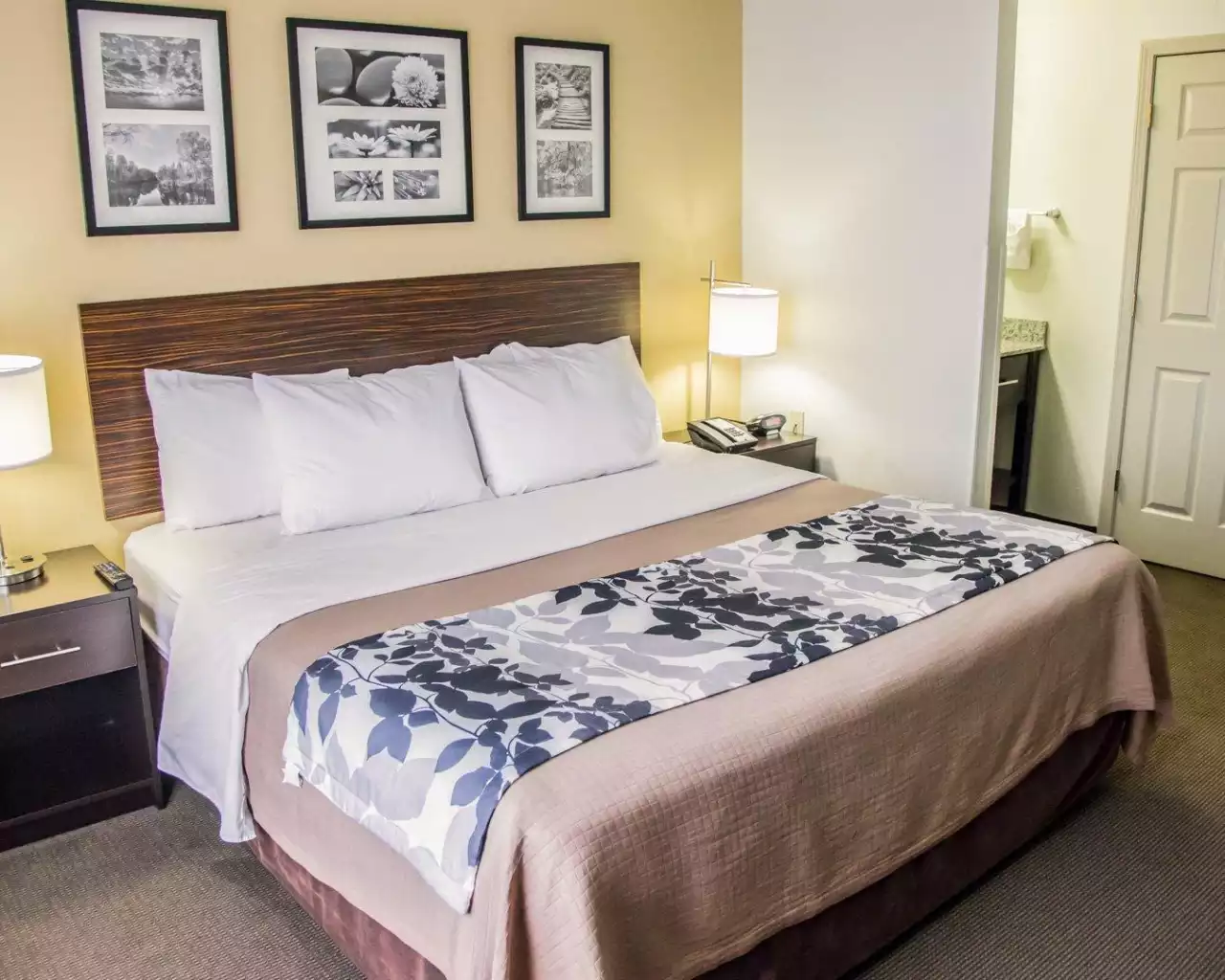 Sleep Inn Tinley Park I-80 near Amphitheatre-Convention Center