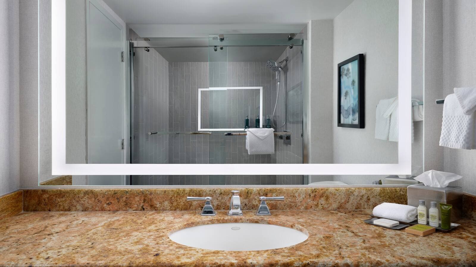 Hotel Fera Anaheim, a DoubleTree by Hilton