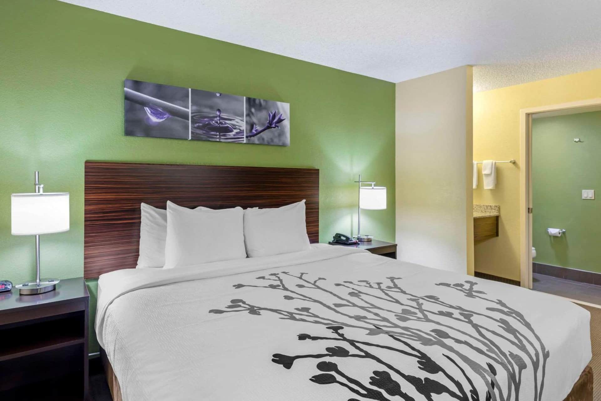 Sleep Inn Denver Tech Center