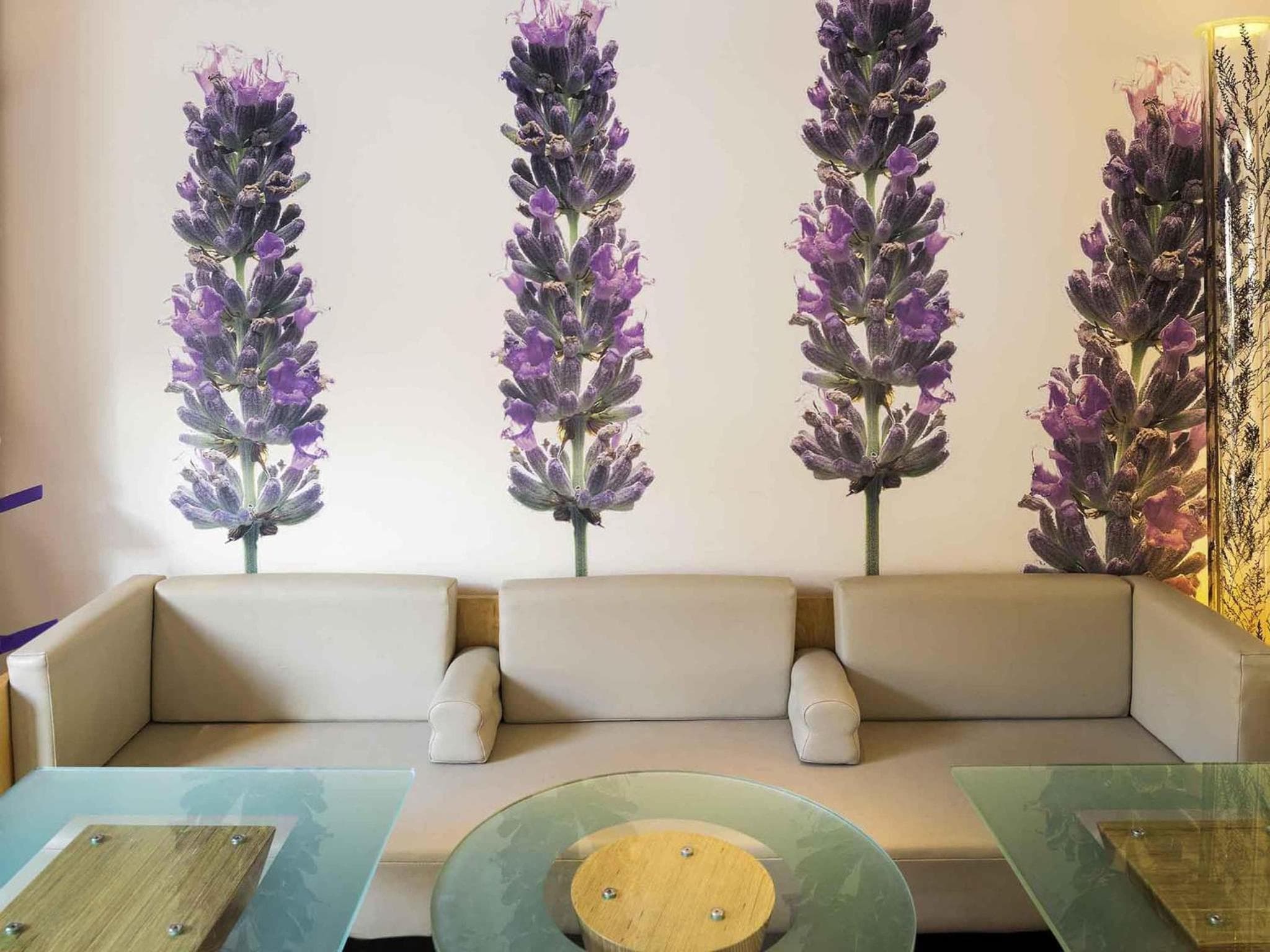 Ibis Styles Metz Centre (opening in December 2025)